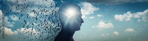 Silhouette of a man against a sky, sun and a flock of birds. Ideas on emotion or psychology, philosophical and scientific concepts. Psychiatry and psychology symbol.