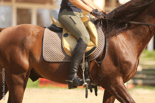 Photo of a sport horse during dressage competition under saddle