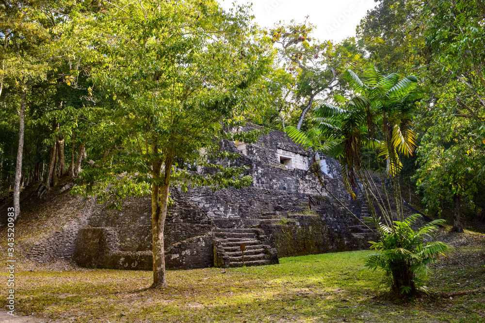 Mayan Pyramids in the Jungle forest of Peten, Guatemala