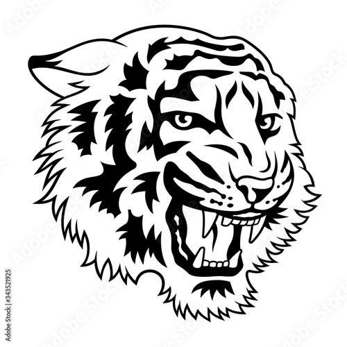 Tiger 021