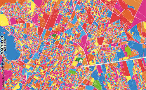 Saltillo  Coahuila  Mexico  colorful vector map