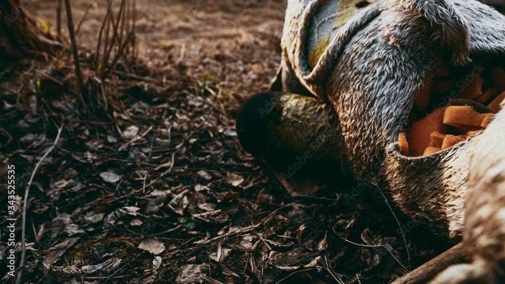 A child's abandoned stuffed toy, dirty and torn, like in a horror movie. It lies on the dried leaves. A child's abandoned stuffed toy, dirty and torn, like in a horror movie. It lies on the dried leaves.