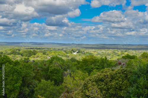 Guatemala Jungle in Peten with Maya Temples