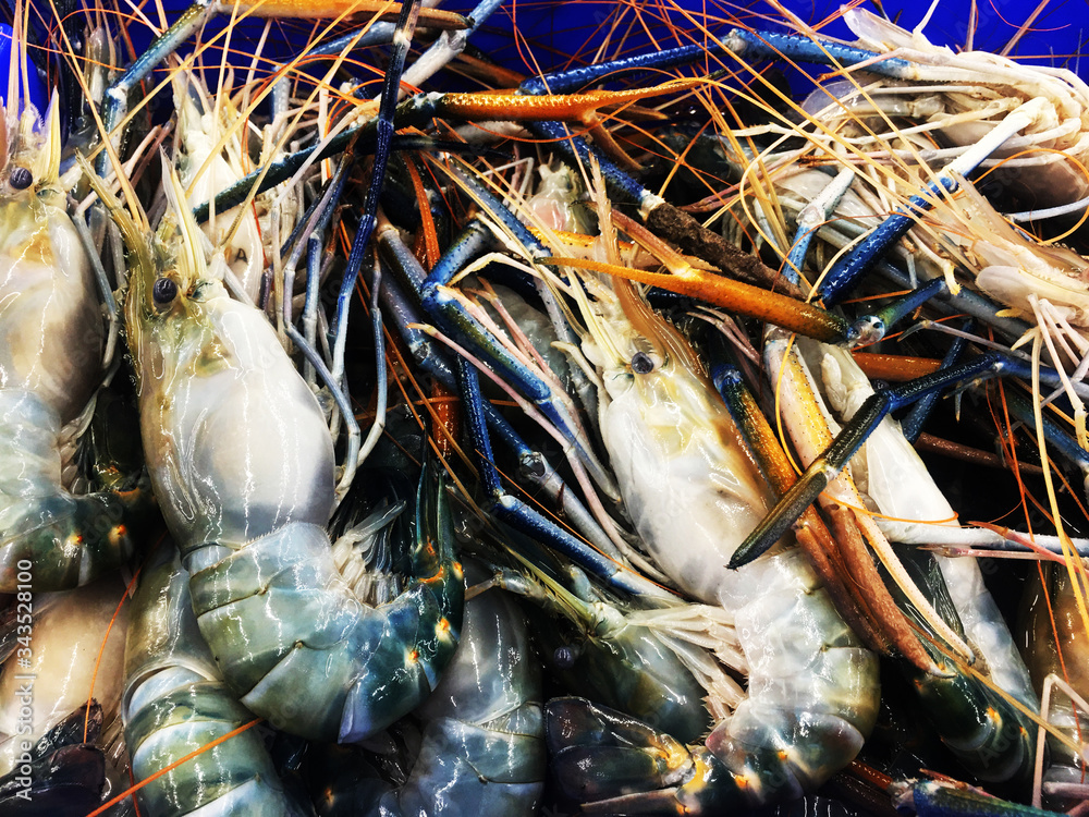 Fresh shrimp in the market