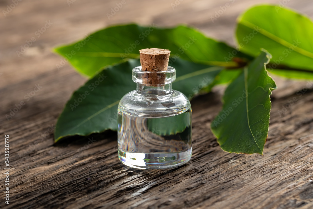 A bottle of essential oil with fresh bay leaves A bottle of essential oil with fresh bay leaves