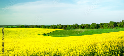 Spring colors with rape field © Roberto Sorin