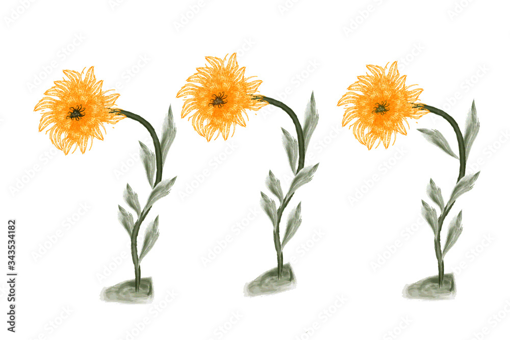 Three sunflowers