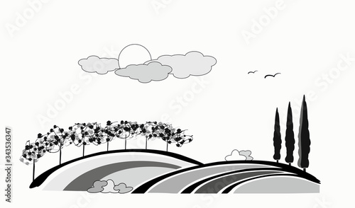 vineyard vector illustration rural landscape