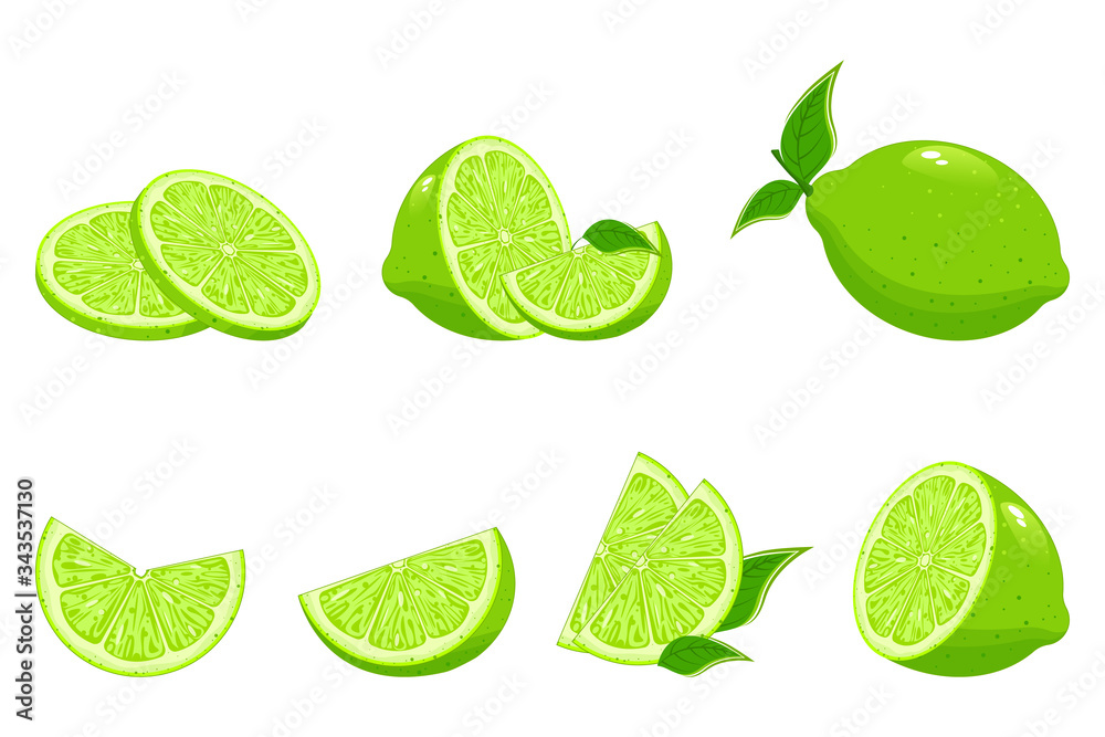 Collection of fresh limes. Designed for logos and web sites. Lemon with slices of green lemon. Fresh limes with leaves.