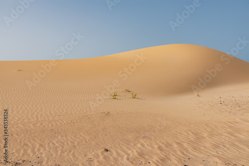 sand dunes in the sahara desert