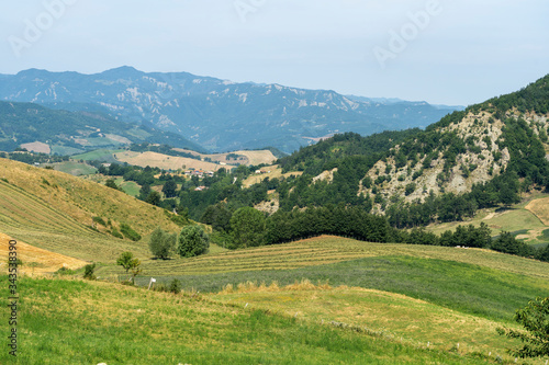 Fototapeta Naklejka Na Ścianę i Meble -  Summer landscape near Bagno di Romagna, in the Appennino