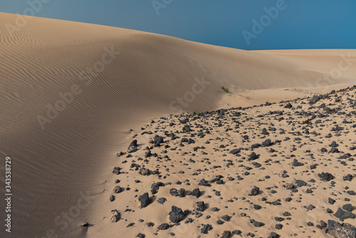 Fototapeta Naklejka Na Ścianę i Meble -  sand dunes in the sahara desert