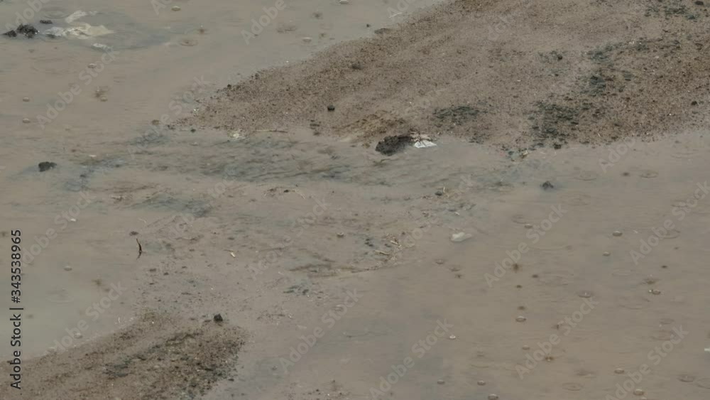 rain water flow on land with bubbles and drops rain water flow on land with bubbles and drops