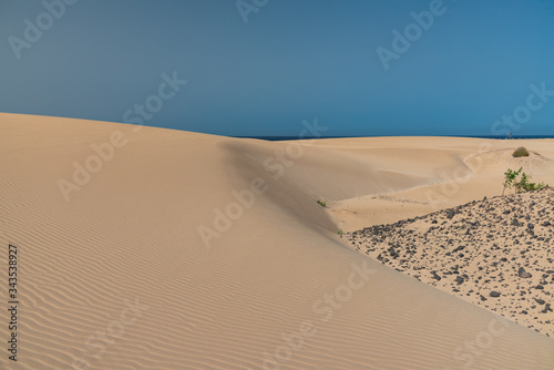 Fototapeta Naklejka Na Ścianę i Meble -  sand dunes in the sahara desert