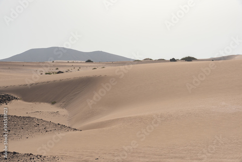 sand dunes in the sahara desert