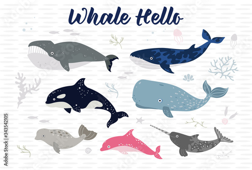 Whale hello sign poster. Sea lyfe of whale, dolphin and shark. Colorful wall art design. Room, nursery decor illustration. Textile, wallpaper hand drawn vector graphic. 
