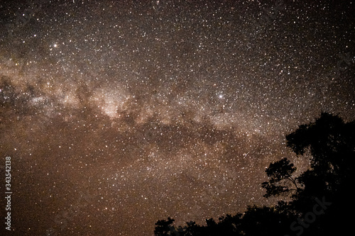 night sky in Reserva Natural El Pantanoso