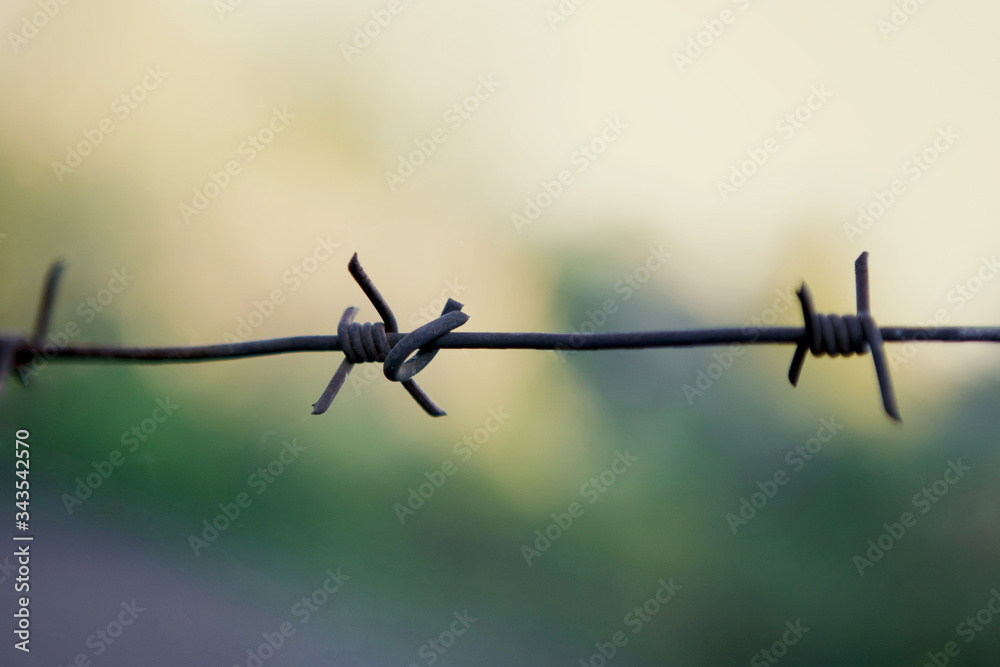 Barbed wire on a blurry background of beautiful nature. Barbed wire on a blurry background of beautiful nature.