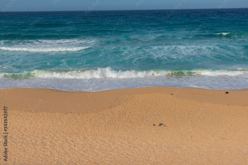 Surfers paradise island of the carnivals of Fuerteventura Surfers paradise island of the carnivals of Fuerteventura