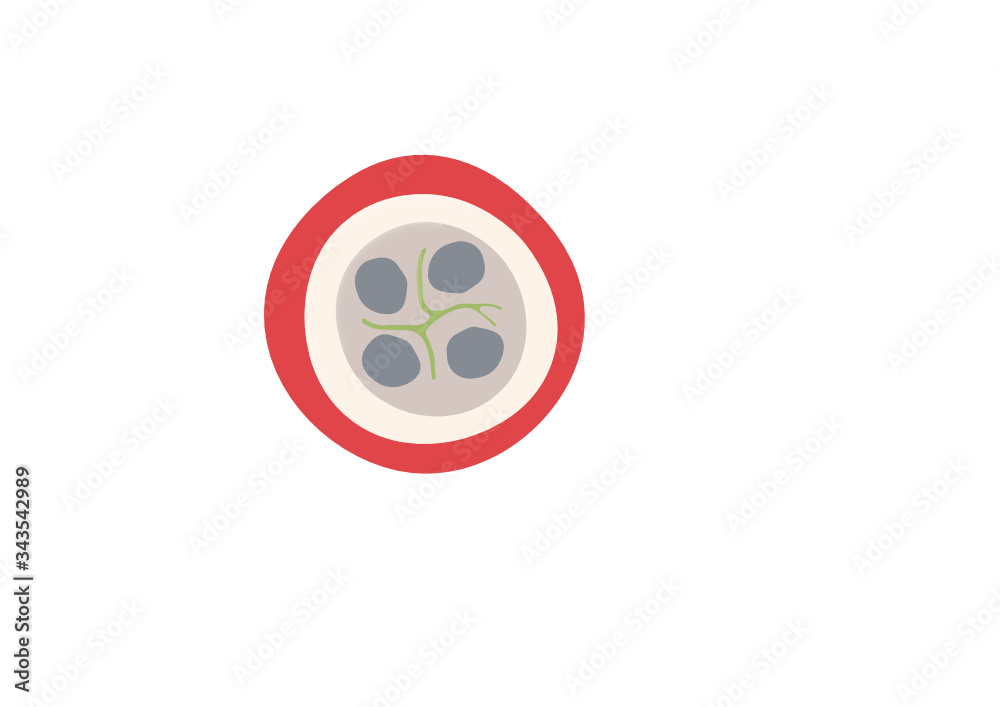 Schematic of Plasmodium in host cell