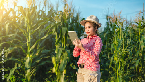 Billede på lærred Corn farmers use communication technology to diagnose corn diseases with experts