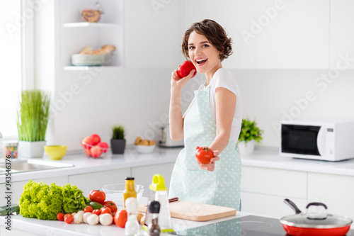 Photo of beautiful bobbed hairdo housewife holding fresh tomato pepper bell good mood morning cooking tasty breakfast wear apron t-shirt stand modern kitchen indoors