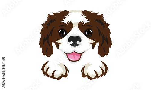 D,Dog,Animal,Cute,Puppy