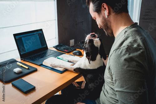 Man working at home or office and holding his liitle boston terrier dog.handsome man with laptop computer sitting at kitchen in home office. With a dog