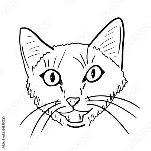 Meowing cat illustration