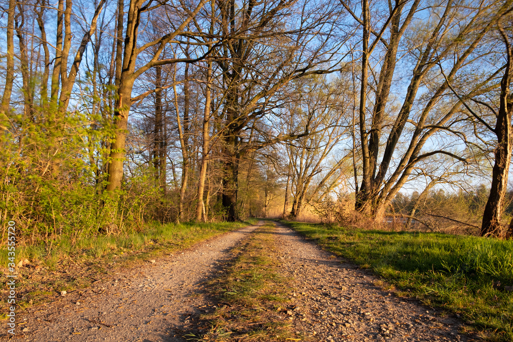 Abends im Biosphärenreservat Oberlausitzer Heide- und Teichlandschaft