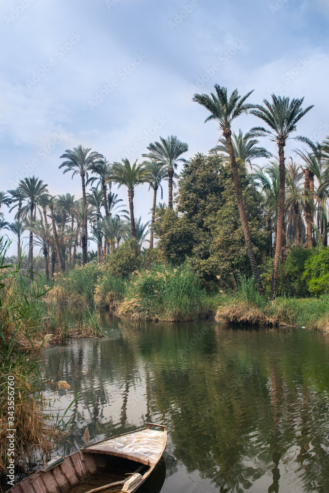 Little boat in an Egypcian oasis with palm trees in Luxor on the Nile Valley