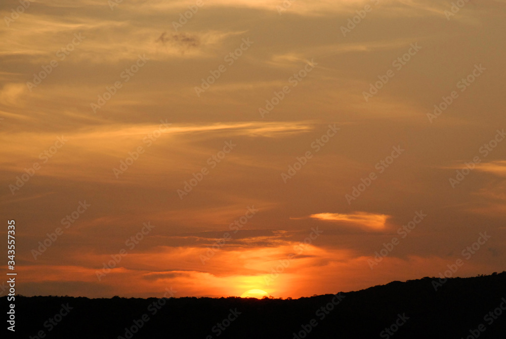 Silhouetted sunset over the bush, KwaZulu-Natal, South Africa Silhouetted sunset over the bush, KwaZulu-Natal, South Africa