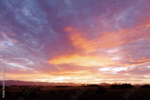 Desert Sunrise  © Mark Butler 