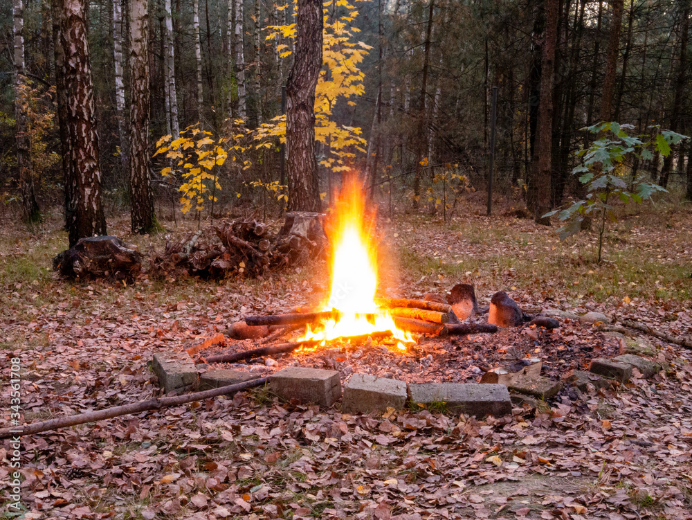 large bonfire in the middle of the autumn dry forest large bonfire in the middle of the autumn dry forest