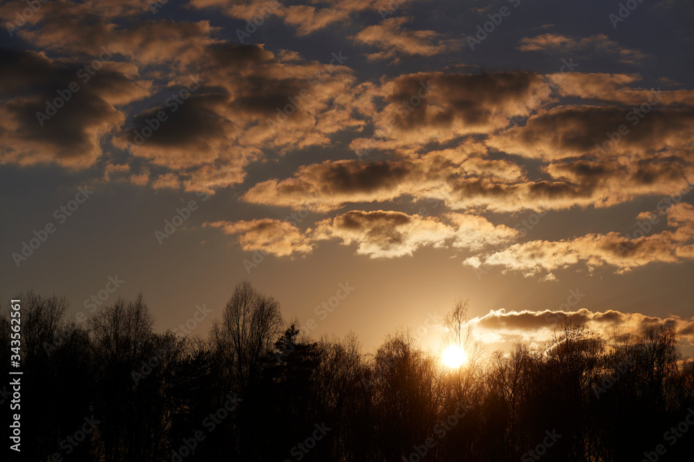 Beautiful evening landscape with the setting sun, trees and clouds
