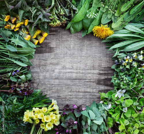 Edible plants and flowers on a wooden rustic background with copy space for text. Medicinal herbs and wild edible plants growing in early spring. Top view, flat lay.