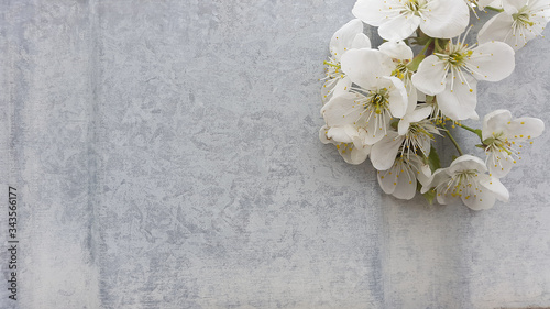 Fototapeta Naklejka Na Ścianę i Meble -  white blossom on great wall