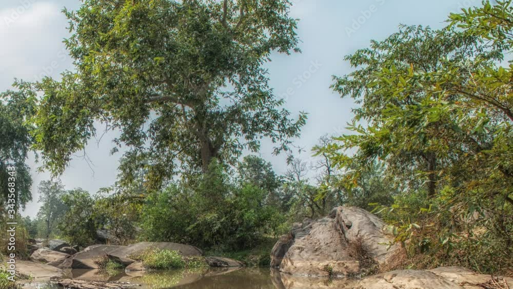 Kanha National Park, India. Landscape with a river and forest trees. Kanha National Park, India. Landscape with a river and forest trees.