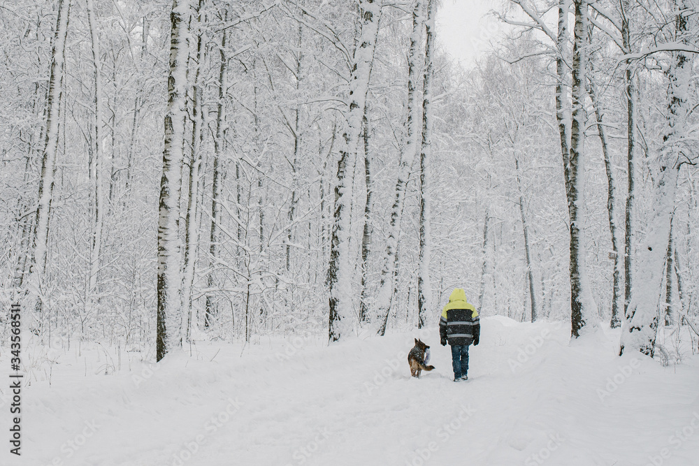A lone man walks in a snow-covered forest with a German shepherd. He's wearing a reflective suit. Rear view