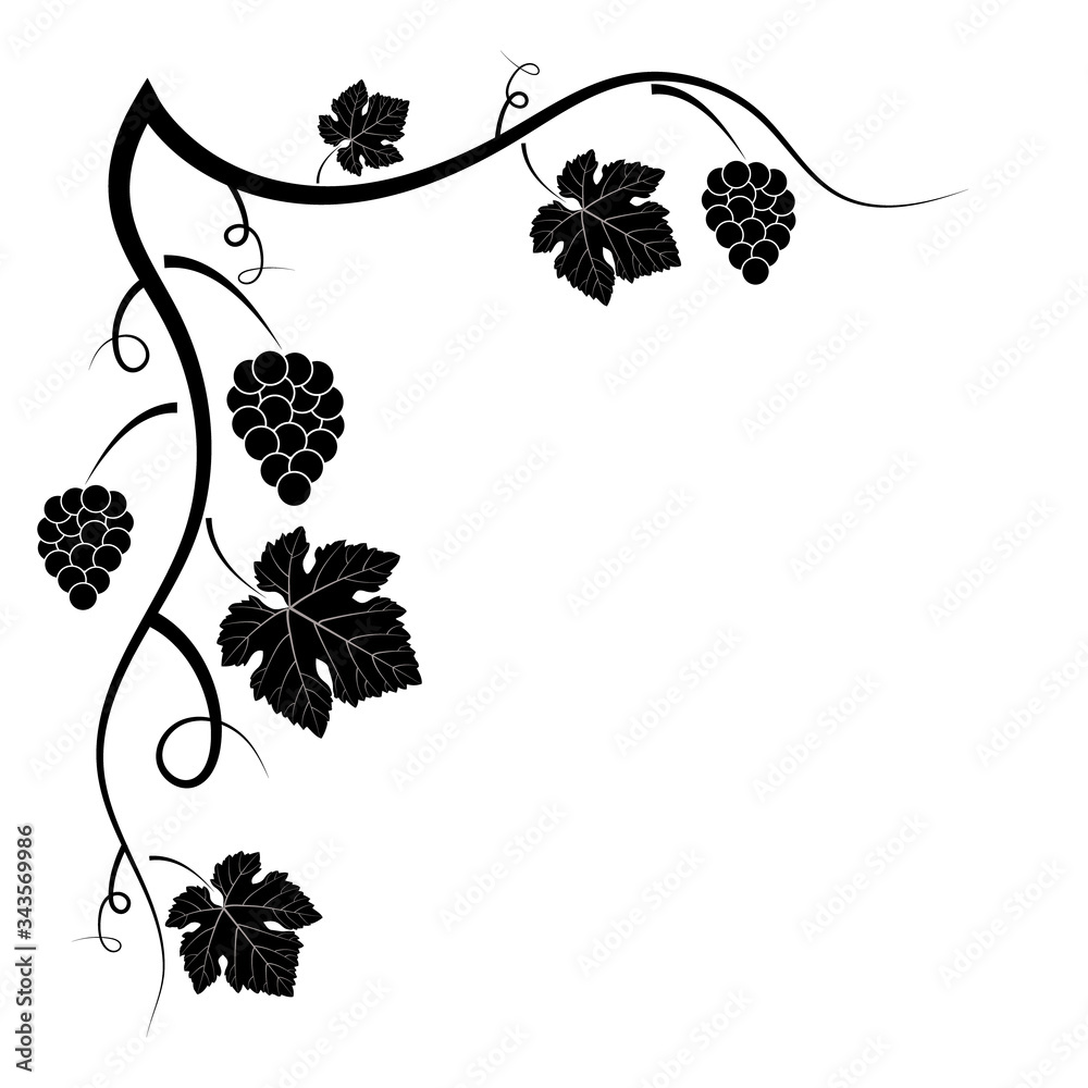 Naklejka premium Vector decorative frame of vine on a white background. Black-white ornate silhouette. An element of your design.