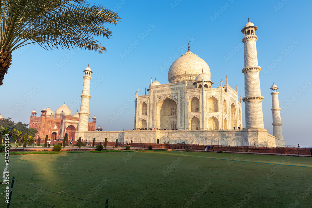 Obraz premium Taj Mahal widok z zielonego ogrodu, Indie, Agra