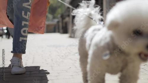 Girl walking outdoors with dog during pandemic of COVID-19