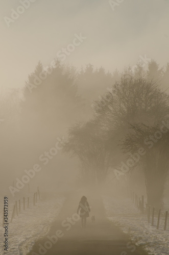Woman with dog walking away in fog in the Ardennes, Belgium.