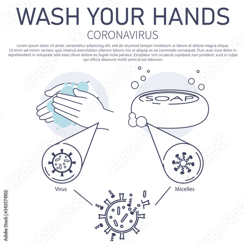 Hand washing with soap. Micelles. Hand wash infographics. Soap under the microscope. Personal Care. Combating the spread of coronavirus. EPS 10 vector illustration