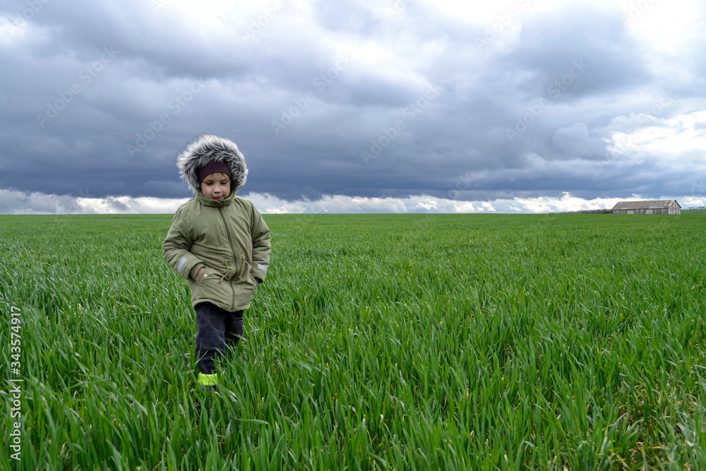 The child is alone in the field during a thunderstorm. Gray stormy sky over a green field and a boy wanders alone.