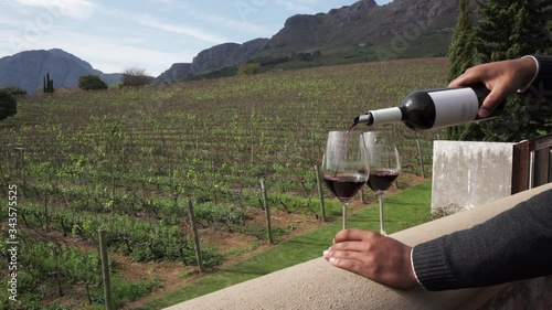 A striking lockdown of a man pouring red wine into two glasses in front of long rows of trellised grape vines and distant hills - Cape Town, South Africa