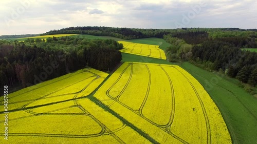 Rapsfeld von oben