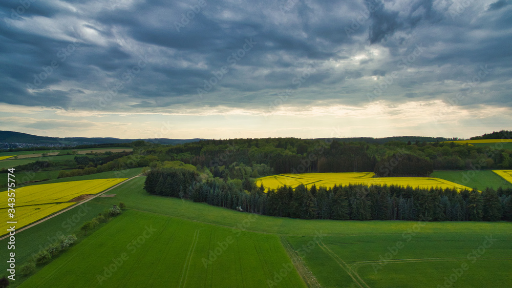 Obraz premium Rapsfelder Landschaft von oben