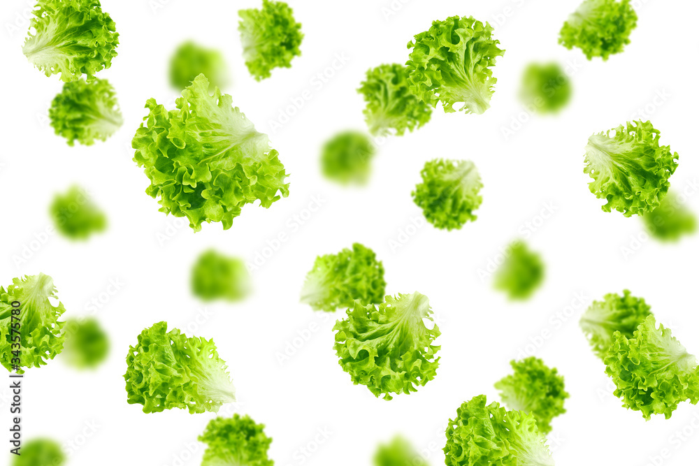Falling salad, lettuce leaf, isolated on white background, selective focus - obrazy, fototapety, plakaty 