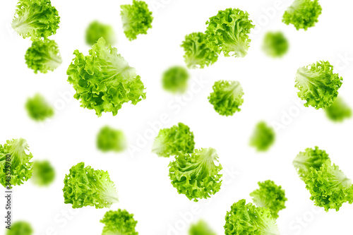 Falling salad, lettuce leaf, isolated on white background, selective focus